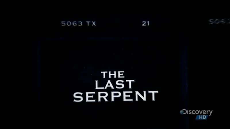 ¼Ƭ The Last SerpentĻ/Ļ