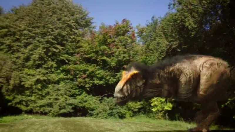 ¼Ƭıʣİ The Nature of Things: The Real T. Rex1080P-Ļ/Ļ