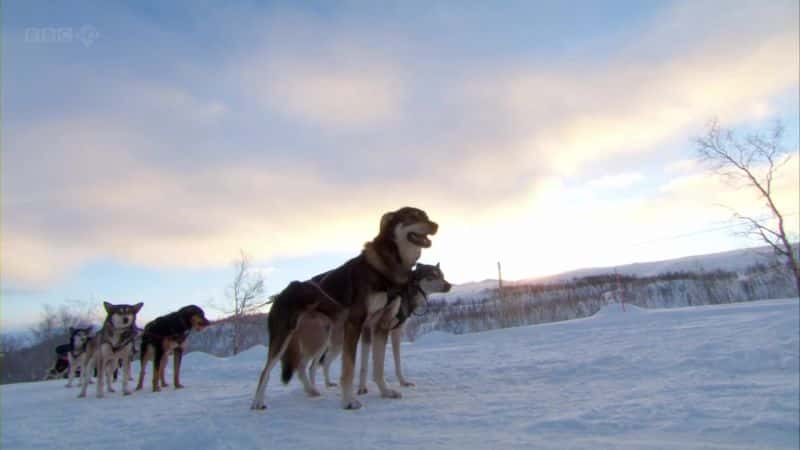 ¼Ƭǰȡķڱ֮ Joanna Lumley In the Land of the Northern Lights1080P-Ļ/Ļ