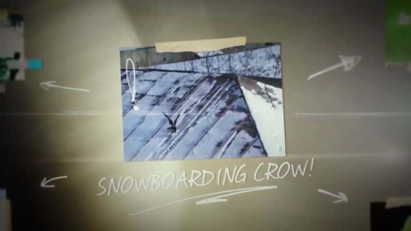 ¼Ƭ⿪Ȼֵϵ 1  12 ֣ѩѻ Natures Strangest Mysteries Solved Series 1 Part 12: Snowboarding CrowĻ/Ļ