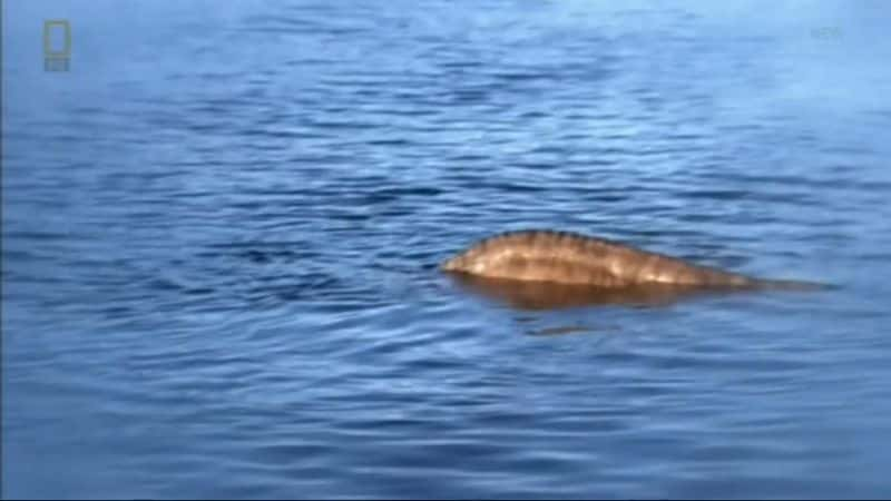 ¼Ƭ˹ˮ The Loch Ness MonsterĻ/Ļ