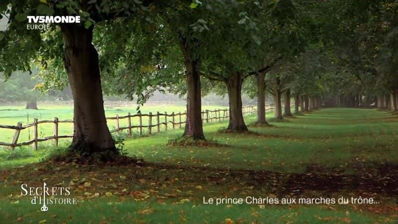 ¼Ƭ˹ӣ aux Marches du trone Le prince Charles, aux marches du troneȫ1-Ļ/Ļ