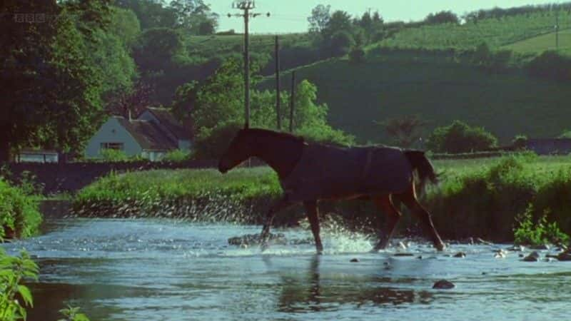 ¼Ƭҵ (BBC) My Halcyon River (BBC)Ļ/Ļ