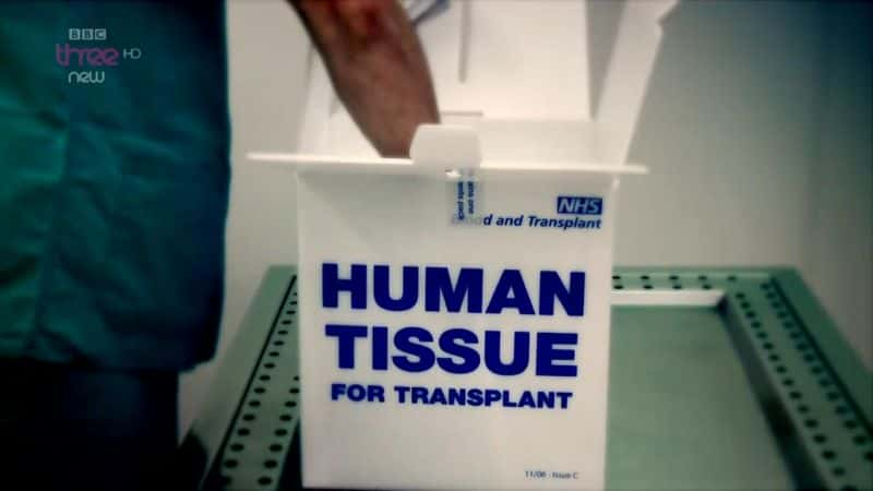 ¼Ƭ֯С The Human Tissue SquadĻ/Ļ