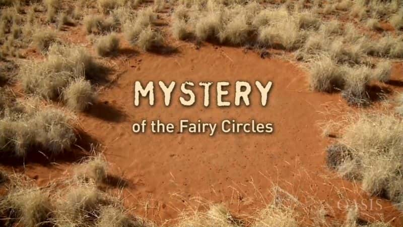 ¼ƬŮȦ֮ Mystery of the Fairy CirclesĻ/Ļ