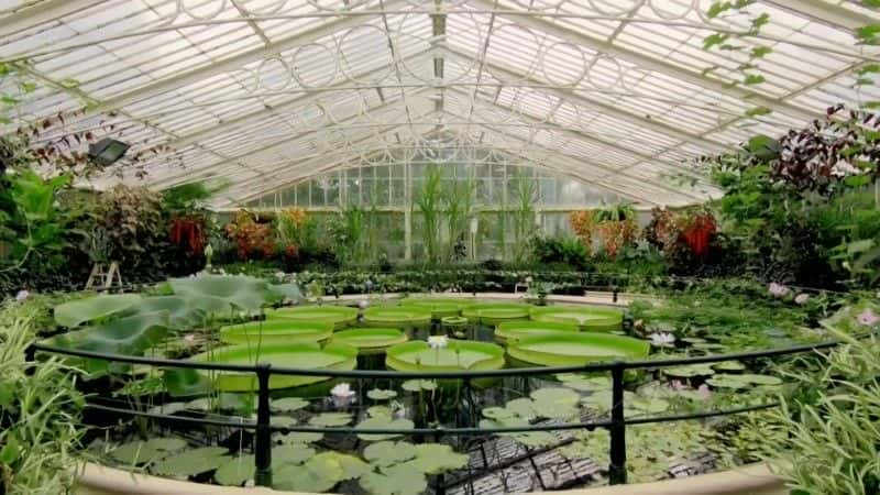 ¼ƬӢʼֲ԰֮ϵ 1 5 £ Kew Gardens: A Year in Bloom Series 1 (Ch5)1080Pȫ4-Ļ/Ļ