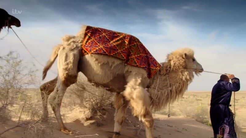 ¼Ƭǰȡķ˿֮·ð (ITV) Joanna Lumley's Silk Road Adventure (ITV)ȫ4-Ļ/Ļ