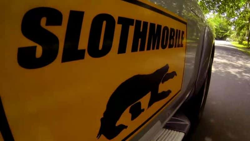 ¼Ƭʶ Meet the SlothsĻ/Ļ