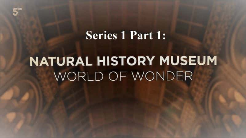 ¼ƬȻʷ漣磺ϵ 1  1  Natural History Museum World of Wonder: Series 1 Part 11080P-Ļ/Ļ