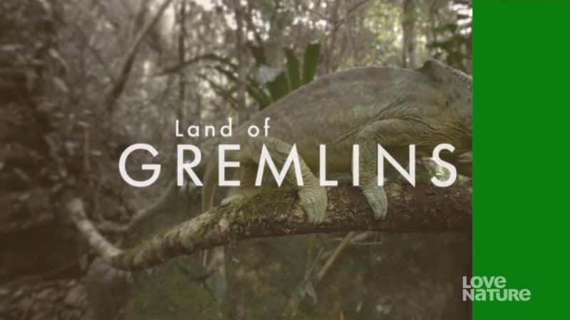 ¼ƬСħ֮ Land of GremlinsĻ/Ļ