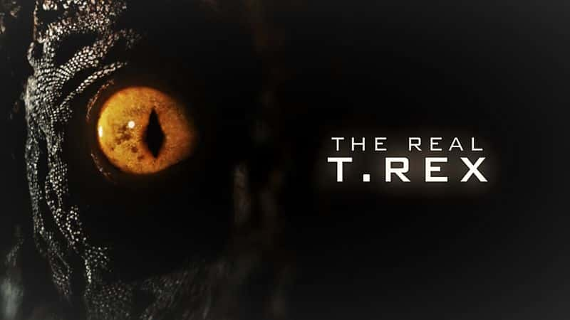 ¼Ƭıʣİ The Nature of Things: The Real T. Rex1080P-Ļ/Ļ