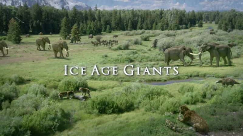 纪录片《冰河世纪巨人 Ice Age Giants》[无字][BT][DVD][720P]双画质资源下载