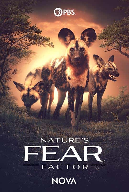 ¼ƬȻĿ־ Nature's Fear Factor1080Pȫ1-Ļ/Ļ