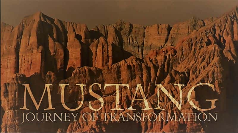 纪录片《野马：转型之旅 1080 Mustang: Journey of Transformation 1080》[无字][BT][1080P]资源下载