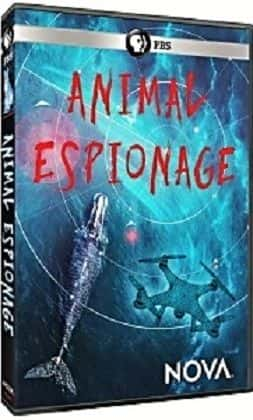 ¼ƬNOVA NOVA: Animal Espionage1080P-Ļ/Ļ