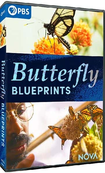 ¼ƬNOVA ϵ 48ͼ NOVA Series 48: Butterfly Blueprints1080P-Ļ/Ļ