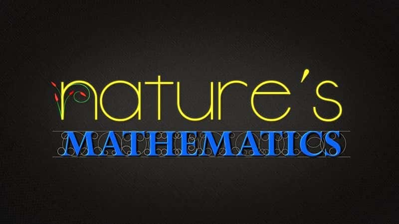 ¼ƬȻѧ Natures Mathematics1080P-Ļ/Ļ