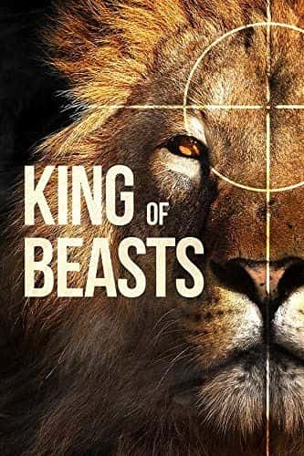 纪录片《百兽之王 King of Beasts》[无字][BT][1080P]资源下载