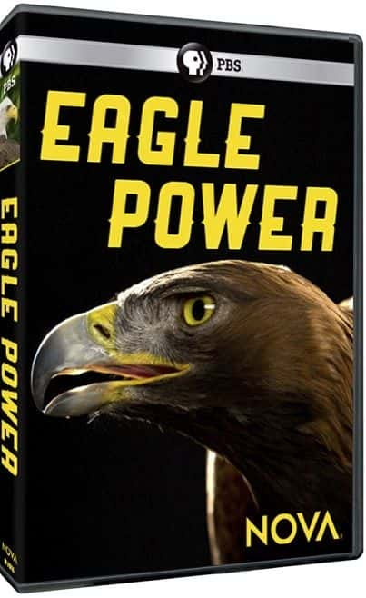 ¼ƬNOVAӥ֮ NOVA: Eagle Power1080P-Ļ/Ļ