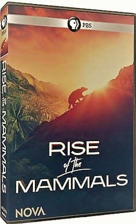 ¼ƬNOVA鶯 NOVA: Rise of the Mammals1080P-Ļ/Ļ