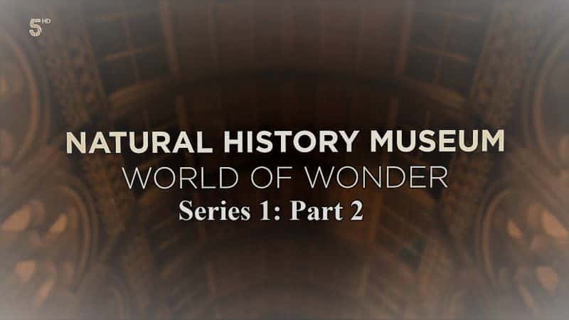 纪录片《自然历史博物馆奇迹世界：系列 1 第 2 部分 Natural History Museum World of Wonder: Series 1 Part 2》[无字][BT][1080P]资源下载