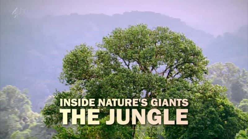 ¼Ƭ (Ch4) The Jungle (Ch4)Ļ/Ļ