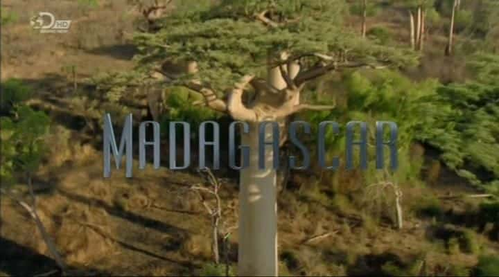 ¼Ƭ˹ (DC) Madagascar (DC)ȫ1-Ļ/Ļ