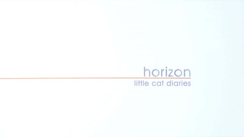 ¼ƬСèռ Little Cat Diariesȫ1-Ļ/Ļ