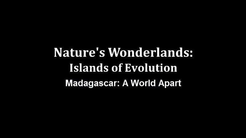 ¼ƬȻɾ֮ - ˹ Natures Wonderlands: Islands of Evolution - MadagascarĻ/Ļ