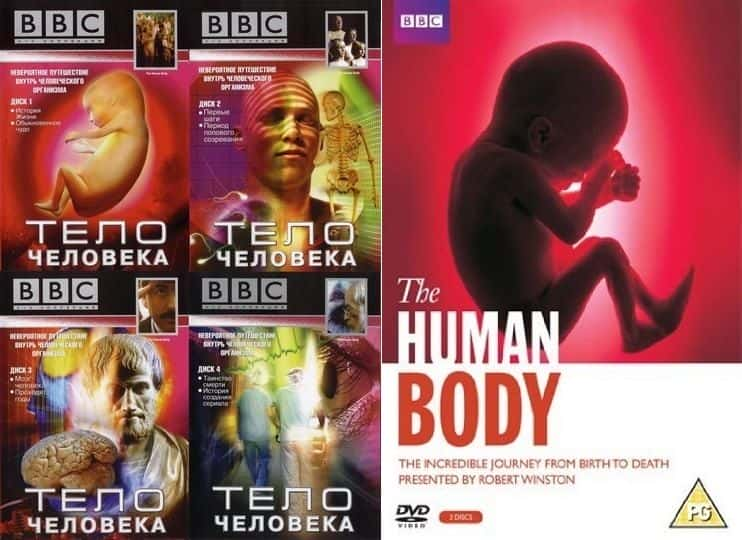 ¼Ƭ壨BBC The Human Body (BBC)Ļ/Ļ