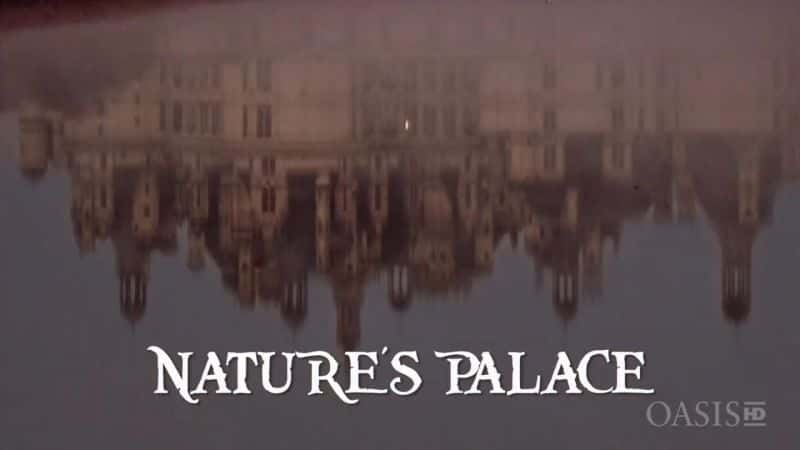 纪录片《自然宫 Natures Palace》[无字] [BT][DVD画质]资源下载