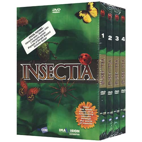 ¼Ƭ Insectiaȫ13-Ļ/Ļ