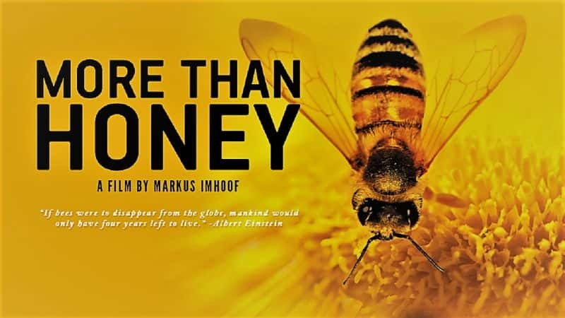 纪录片《不仅仅是蜂蜜 More than Honey》[无字][BT][DVD]资源下载