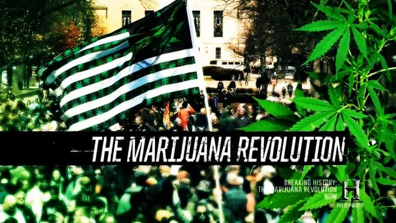 ¼Ƭ The Marijuana RevolutionĻ/Ļ