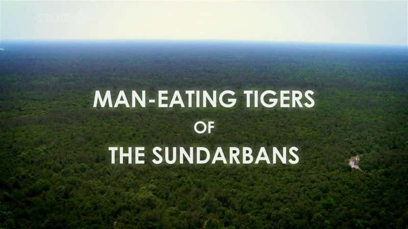 ¼Ƭ¶˹ʳ˻ (BBC) Man-Eating Tigers of the Sundarbans (BBC)1080Pȫ1-Ļ/Ļ