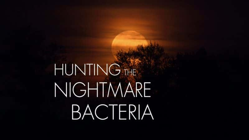 ¼Ƭجϸ Hunting the Nightmare BacteriaĻ/Ļ