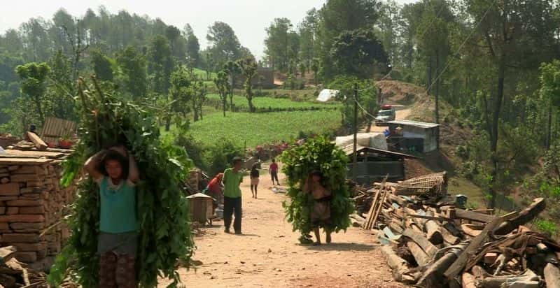 ¼ƬᲴҴߵĹ Nepal: Survivors' StoriesĻ/Ļ