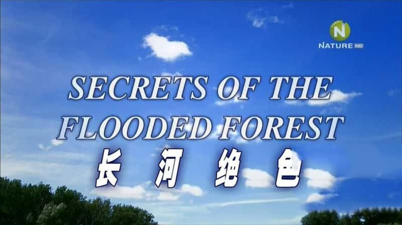 BBC¼Ƭɭֵ/Ӿɫ Secrets of the Flooded Forest 2015-Ѹ