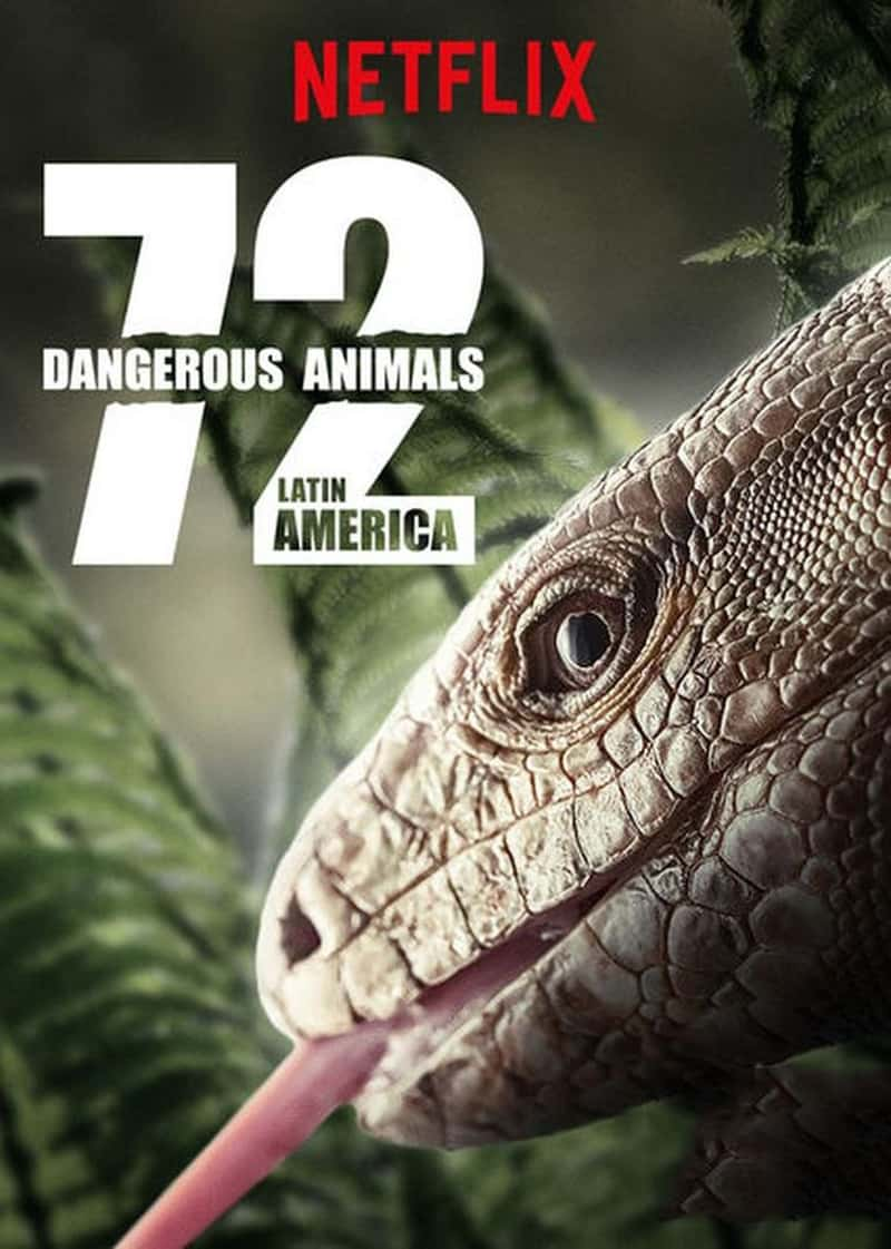 ĴǼ¼Ƭ72Σն 72 Dangerous Animals: Latin America-Ѹ