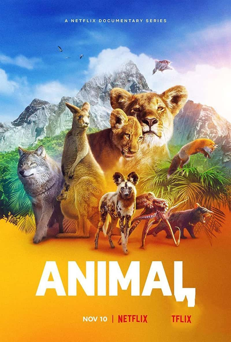 Netflix¼Ƭﱾɫ Animal 2021-Ѹ