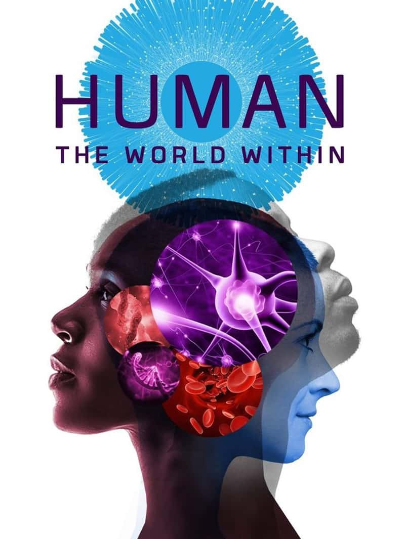 Netflix¼Ƭࣺڵ Human: The World Within 2021-Ѹ