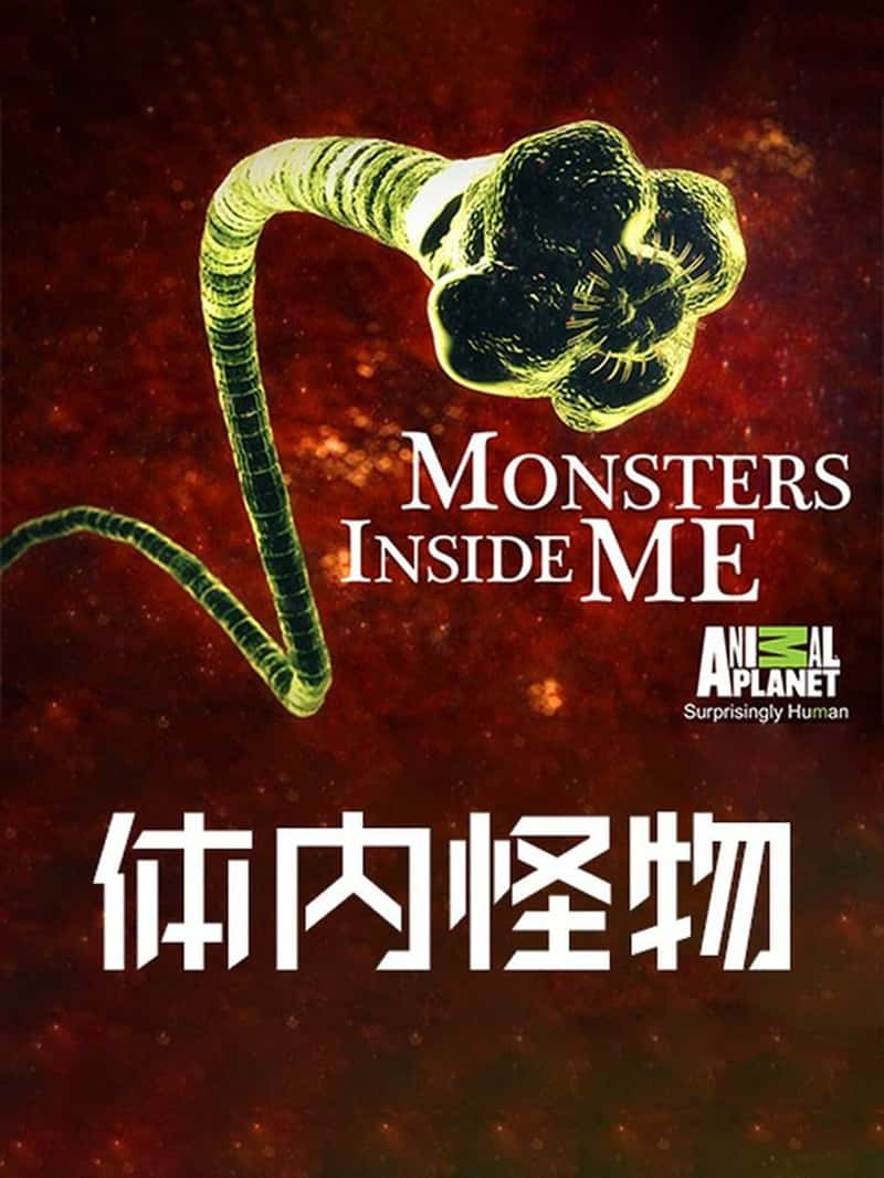 ̽ƵڵĹ Monsters Inside Me 2015-Ѹ