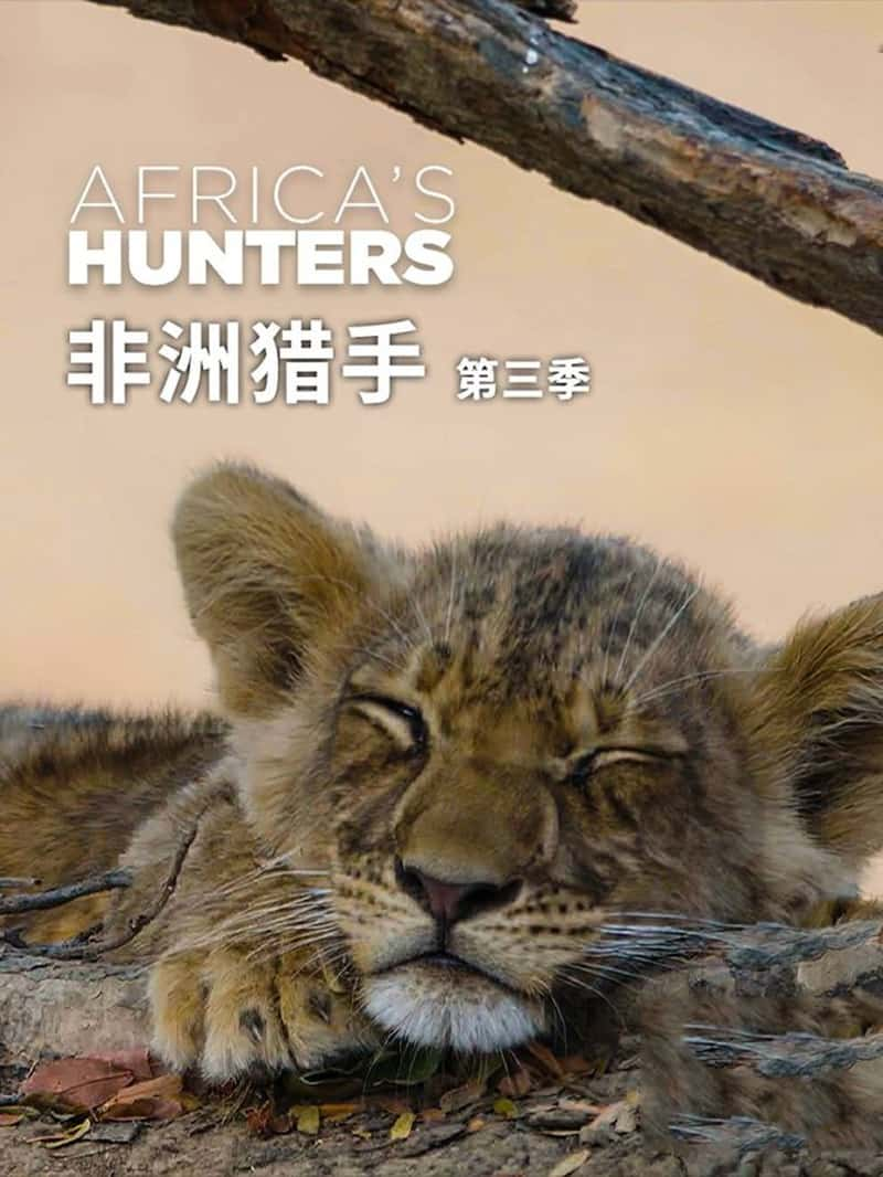 ʷɭƵ  Africa's Hunters 2018-Ѹ