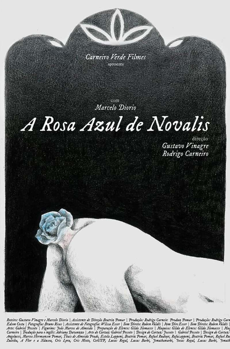 ¼Ƭŵ˹õ A Rosa Azul de Novalis 2018-Ѹ