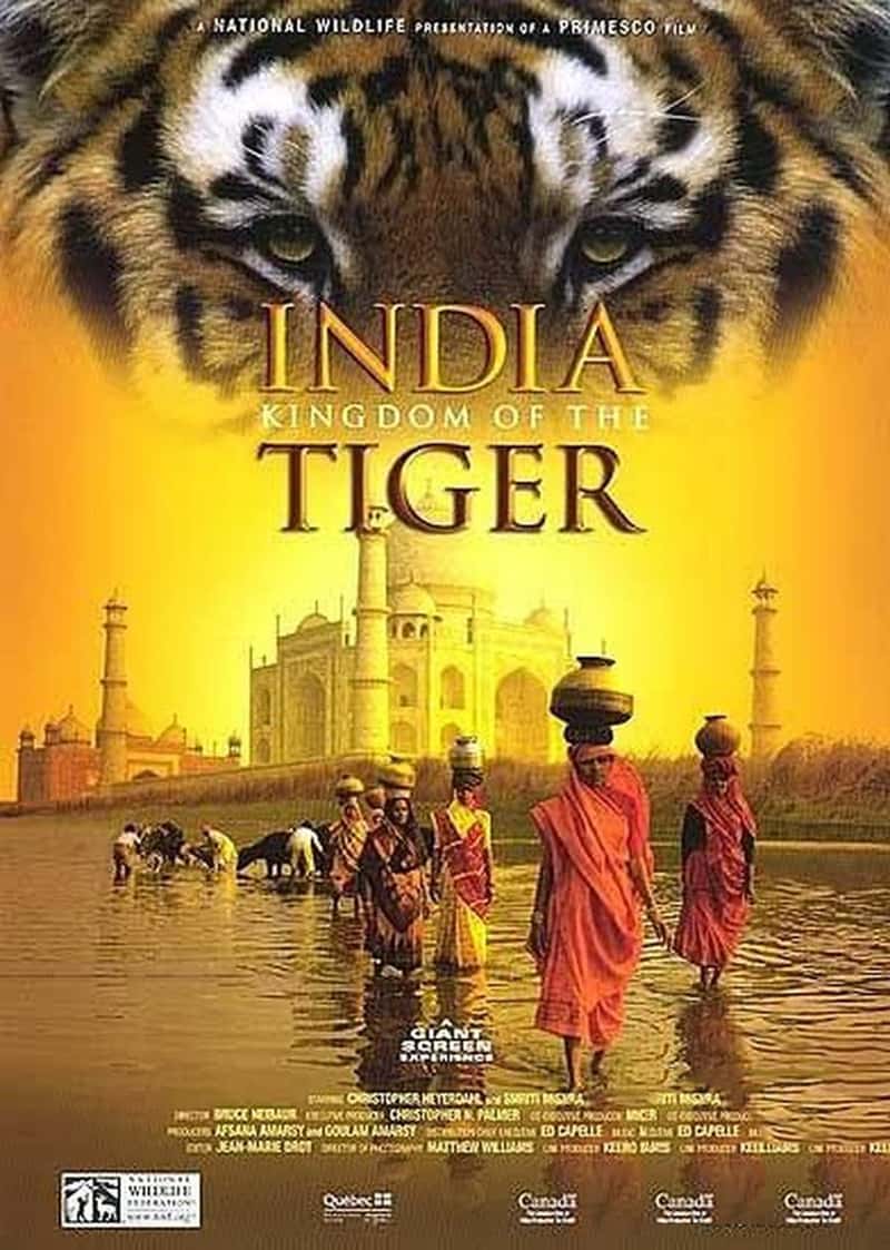 IMAX¼Ƭӡȣϻ India: Kingdom of the Tiger 2002-Ѹ