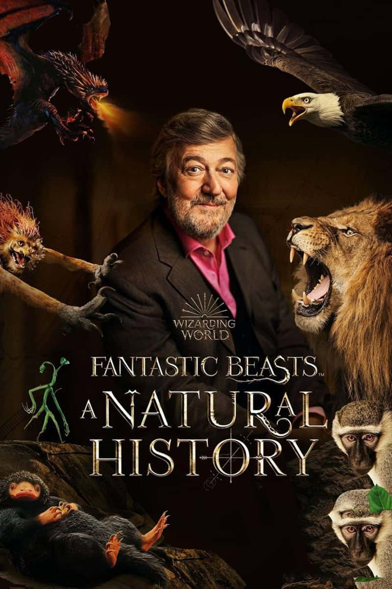 BBC¼Ƭ涯һȻʷ Fantastic Beasts: A Natural History 2022-Ѹ