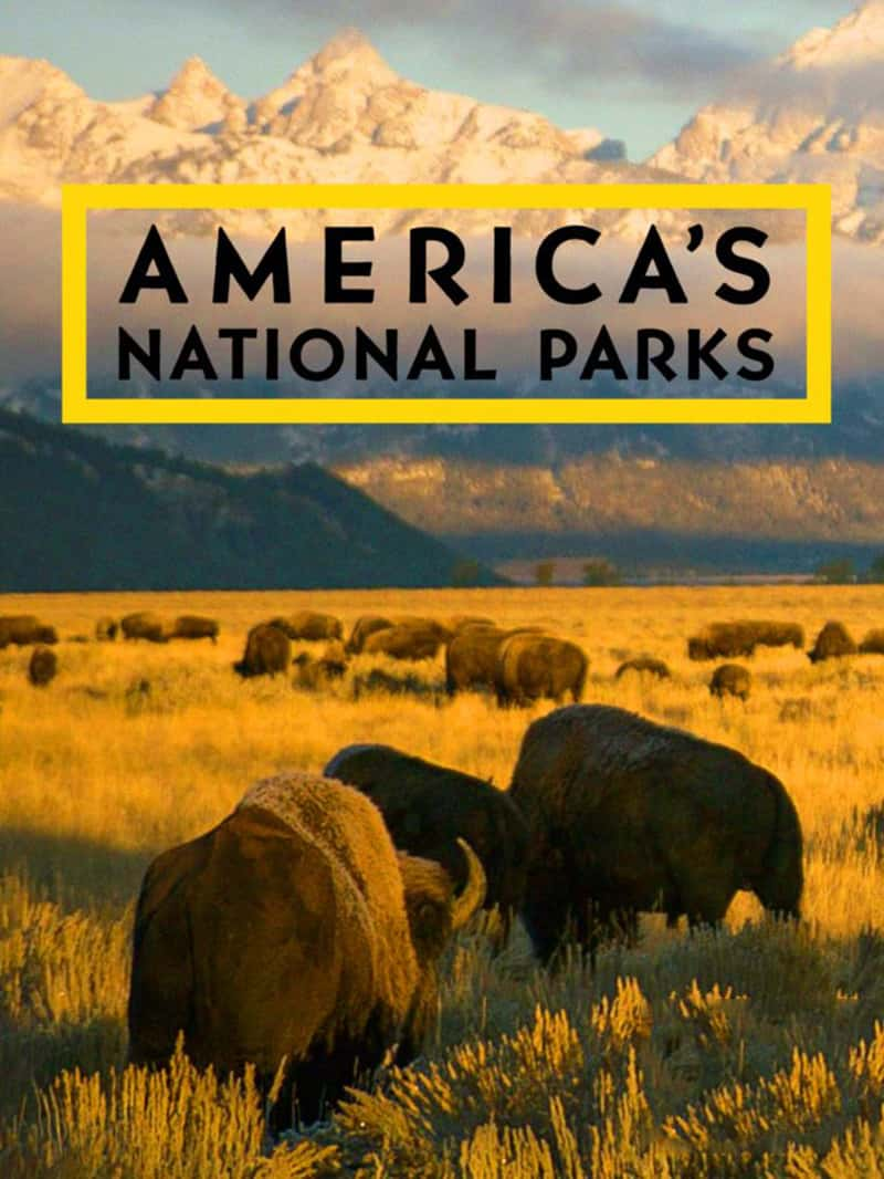 ҵҹ԰ Americas National Parks 2022-Ѹ