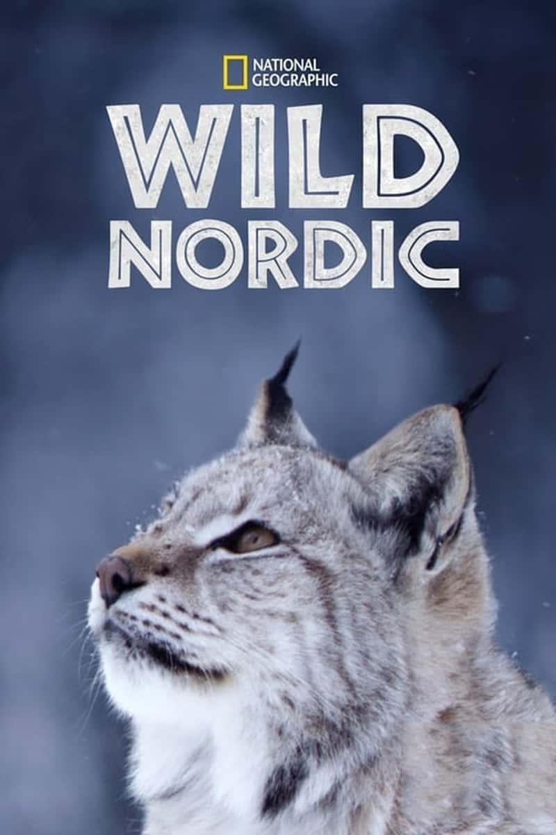 ҵҰԱŷ Wild.Nordic 2019-Ѹ