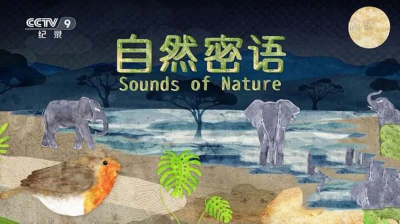 Ӽ¼ƬȻ Sounds of Nature-Ѹ