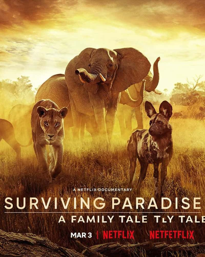 Netflix¼ƬҴ Surviving Paradise: A Family Tale 2022-Ѹ